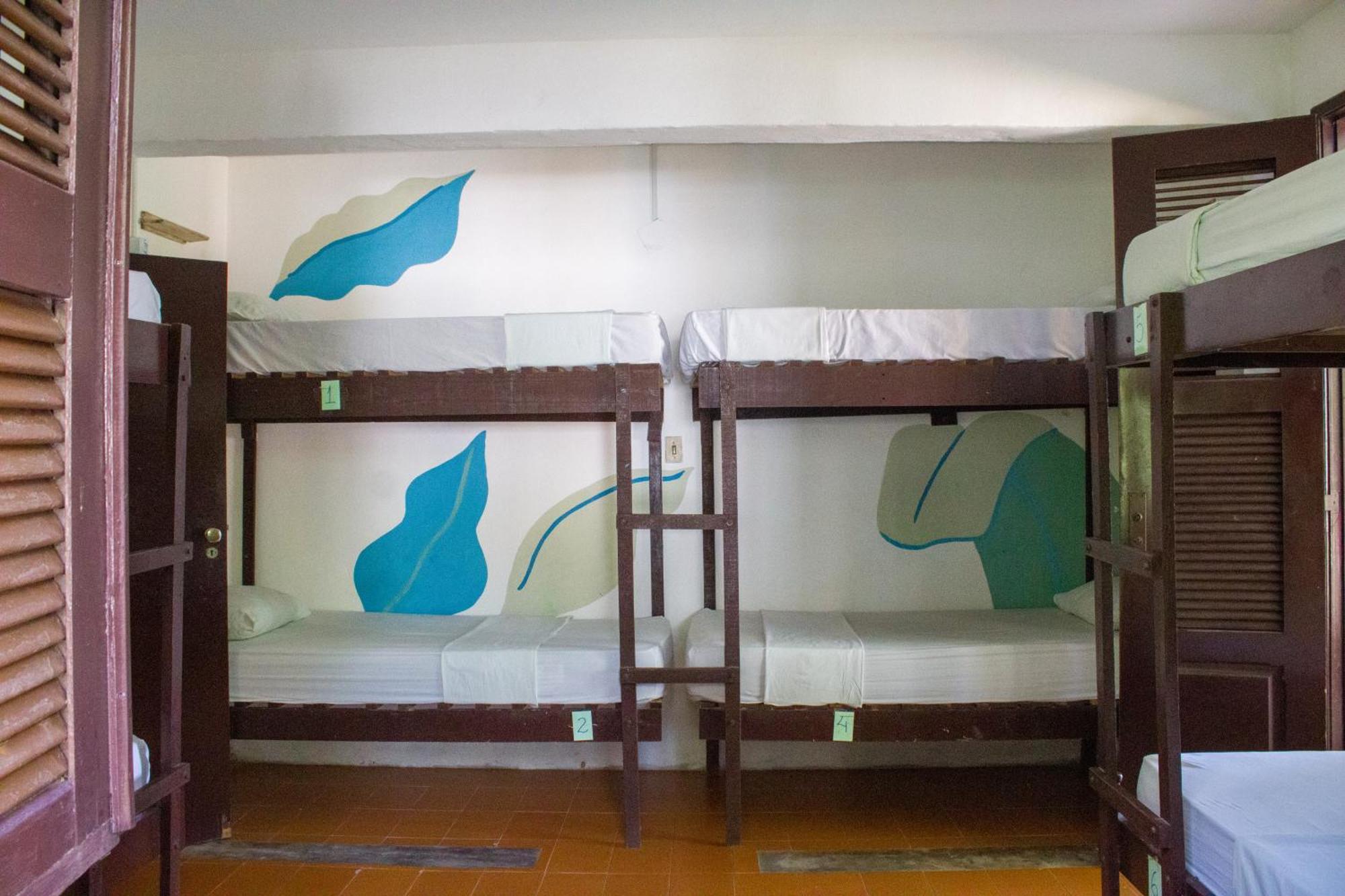 Indiana Kite School And Hostel 컴부코 외부 사진
